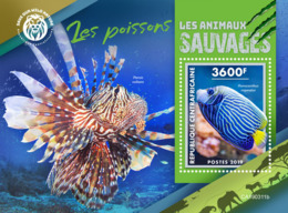 Central Africa 2019  Fauna  Fishes   S201904 - Repubblica Centroafricana