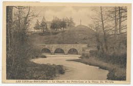 LES LUCS-SUR-BOULOGNE - La Chapelle Des Petits-Lucs Et La Vierge Des Martyrs (12382) - Les Lucs Sur Boulogne