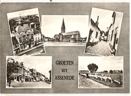 S7661 - Groeten Uit Assenede - Assenede