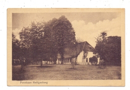 2814 BRUCHHAUSEN - VILSEN, Forsthaus Heiligenberg, 1920 - Diepholz