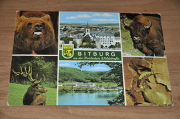 Delcampe - 11087-    BITBURG AN DER DEUTSCHEN WILDSTRASSE - Bitburg