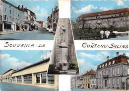 57-CHATEAU-SALIN-MULTIVUES - Chateau Salins