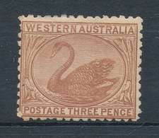 1905. Western Australia - Nuovi