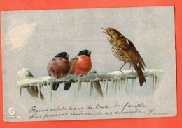 PEPF-34 Bonne Année, Oiseaux Sur Une Branche En Hiver.  Cachet 1911 De Court Berne Pour Moutier - Neujahr