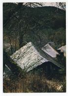 Région -- CEVENNES -- Paysage Et Toits De Lauzes - Autres