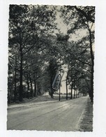 RETIE :  Steenweg Op Kasterlee    ( Format 15 X 10.5 Cm ) - Retie