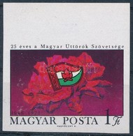 ** 1971 25 éves Az Úttörőszövetség ívszéli Bélyeg (ujjlenyomat) - Altri & Non Classificati