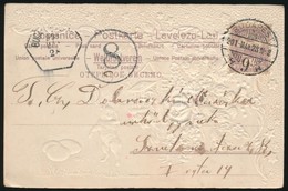 1901 Portós Képeslap / Postcard With Postage Due - Other & Unclassified