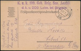 1916 Tábori Levelezőlap 'K.u.k. 109. Geb. Brig. San. Anstalt D.k.u. 209. Lstm. Inf. Brigade' + 'FP 230' - Sonstige & Ohne Zuordnung