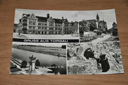 11159-   GRUSS AUS TORGAU - Torgau