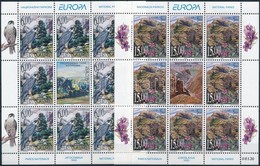 ** 1999 Europa CEPT: Nemzeti Parkok Kisívsor Mi 2910-2911 - Otros & Sin Clasificación