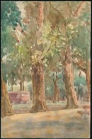 Sostarics Lajos (1896-1968):Városliget. Akvarell, Papír, Jelzett, 27,5×18 Cm - Autres & Non Classés