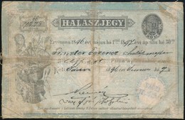 1896 Halászjegy Megviselt állapotban - Non Classés