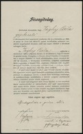 1904 Bp., Bizonyítvány Eskü Letételéről Vasúti Gépkezelő Számára - Unclassified