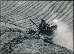 Cca 1969 Gebhardt György (1910-1993) Budapesti Fotóművész Hagyatékából 2 Db Vintage Fénykép (Aratás), 18x24 Cm - Altri & Non Classificati