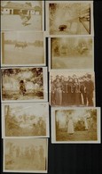 1905-1914 Negyed, Farkasd (Felvidék), 55 Db Korabeli Fotó, Változatos Anyag, érdekes Képekkel, Utcaképek, állatok, Termé - Altri & Non Classificati