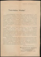 Cca 1890 Felsendeld Ignác Pecsétkészítő Mintalapja. - Non Classés