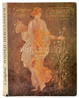 Castiglione László: Pompeji, Herculaneum. A Vezúv Kitörésének Ezerkilencszázadik évfordulójára. Sugár Lajos Felvételeive - Non Classificati