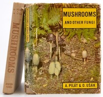 2 Db Gombákkal Foglalkozó Könyv: Albert Pilát: Mushrooms. London, é.n. Spring Books, Egészvászon Kötésben, Albert Pilát: - Non Classificati