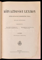 Közgazdasági Lexikon I. Kötet. Szerk.: Dr. Halász Sándor, Dr. Mandelló Gyula. Budapest, 1898, Pallas Irodalmi és Nyomdai - Zonder Classificatie