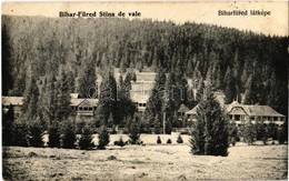 T2 1907 Biharfüred, Stana De Vale; Nyaralók / Villas - Non Classés