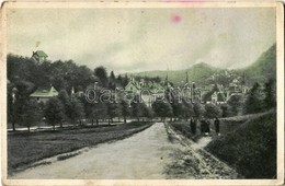 T2/T3 1928 Brassó, Kronstadt, Brasov; Részlet A Postarétről / Postwiese / Livadia Postei (EK) - Non Classés