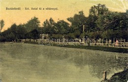 T2/T3 1913 Buziásfürdő, Buziás; Szent Antal Tó és Sétány / Lake And Promenade  (EK) - Non Classés