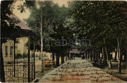 T2/T3 1908 Előpatak, Valcele; Újkút, Fősétány. Divald Károly Műintézetéből / Spa, Promenade (EK) - Non Classés