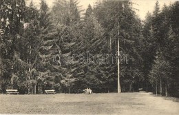 T2 Igló, Zipser Neudorf, Spisská Nová Ves; Iglófüred, Fürdő, Park. L. Jelencsik Nr. 2717. / Park, Spa - Ohne Zuordnung