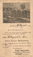 T2/T3 1890 (Vorläufer!!!) Versec, Vrsac, Werschetz; Karl Milleker Méhészete Méhkaptárokkal, Bánáti Virágméz Reklámlapja  - Ohne Zuordnung