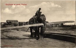 ** T2 Ceylon, Elephants At Wotk - Unclassified