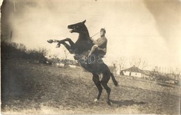 * T2/T3 1914 Osztrák-magyar Katona Töri Be A Lovat / WWI Austro-Hungarian K.u.K. Military Soldier Tames A Horse. Photo ( - Non Classés