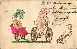 T2/T3 1903 Boldog Új Évet / New Year Greeting Art Postcard With Pigs On Bicycle. Emb. Golden Decoration (EK) - Sin Clasificación