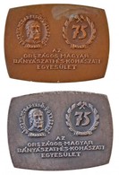 1967. '75 éves Az Országos Magyar Bányászati és Kohászati Egyesület' (2x) Br és Ezüstözött Br Plakett  (56x75mm) T:2 - Non Classificati