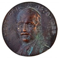 DN 'Heim Pál 1875-1929 / Országos Stefánia Szövetség Anyák és Csecsemők Védelmére' Kétoldalas, öntött Br Emlékérem (58mm - Non Classés