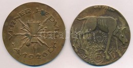 2db Klf Magyar Emlékérem, Közte DN 'Verner Hedvig 1926' Br Emlékérem (70mm) T:2,2- - Non Classificati