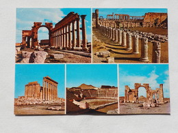 Syria Palmyra Multi View  A 197 - Syrie