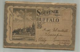 SOUVENIR FROM BUFFALO FOLDER 1913 - 22 VEDUTE FG - Buffalo