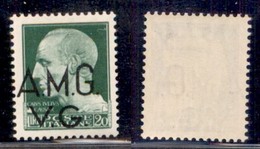 TRIESTE AMG VG - 1946 - 20 Lire (12 Varietà) Con Soprastampa In Basso A Sinistra - Gomma Integra - Non Catalogato - Otros & Sin Clasificación