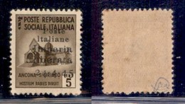 C.L.N. - Imperia - 1945 - 5 Cent (1) - Gomma Integra (12,50) - Andere & Zonder Classificatie