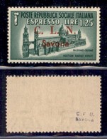 C.L.N. - Savona - 1945 - 1,25 Lire Espresso (11) - Gomma Integra (10) - Other & Unclassified