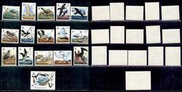 ASCENSION - 1979 - Uccelli (196/211) - Serie Completa - Gomma Integra (42) - Autres & Non Classés