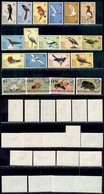 BRITISH INDIAN OCEAN TERRITORY - 1975/1976 - Uccelli + Insetti (63/77 + 86/89) - 2 Serie Complete - Gomma Integra (59) - Other & Unclassified