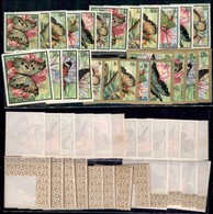 BURUNDI - 1968 - Farfalle (411/435) - Serie Completa Con Posta Aerea Angolo Di Foglio - Gomma Integra (90+) - Other & Unclassified