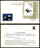 CINA - Cina - Giant Pandas - FDC 24.5.1985 - Otros & Sin Clasificación