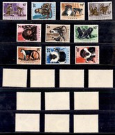 CONGO - 1971 - Scimmie (432/441) - Serie Completa - Gomma Integra (85) - Other & Unclassified