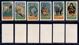 COSTA D'AVORIO - 1979 - Fauna (620/625) - Serie Completa - Gomma Integra (45) - Other & Unclassified