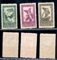 COREA DEL NORD - 1965 - Farfalle (639/641) - Serie Completa - Gomma Integra (75) - Other & Unclassified