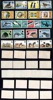 FALKLAND ISLAND - 1974/1981 - Fauna - 5 Serie Complete Del Periodo - Gomma Integra (65) - Altri & Non Classificati