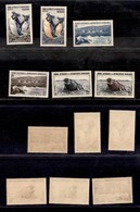 TERRITORIO ANTARTICO AUSTRALIANO - 1956 - Pinguini E Leoni Marini (2/7) - Serie Completa Di 6 Valori - Gomma Integra (50 - Other & Unclassified